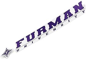 Desert Cactus Furman University Sticker Paladins FU Name Logo Vinyl Decal Laptop Water Bottle Car Scrapbook (8 Inch Sticker)