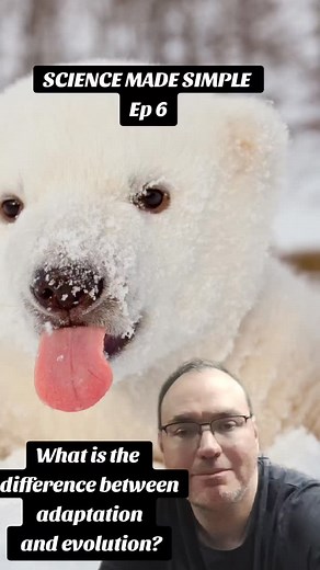 Science made Simple Episode 6 What is the difference between adaptation and evolution? #adaptation #evolution #biology #scienceiscool #science | John Childress | Facebook