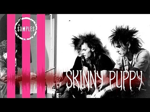 The Samples: SKINNY PUPPY Edition