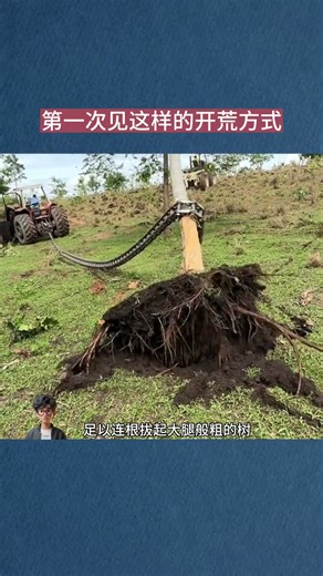 This is the first time I've seen such a method of land reclamation.