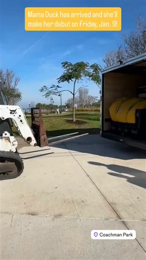 Mama Duck has arrived at Coachman Park and preparations have begun for her debut on Friday! Mama Duck won’t be fully inflated until Friday morning, Jan. 9, at 10 a.m. We can’t wait for you to see her! Don’t miss out on all the upcoming Duck Days activities as part of her visit. She will be in the park through Jan. 26. Learn more: MyClearwater.com/Duck This activation is presented by the city of Clearwater and sponsored by the Clearwater Downtown Development Board, Spa Manufacturers, Inc., CGS En