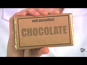 The Science of Chocolate - Food Science