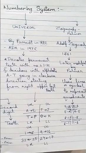 Tooth numbering #dentalnotes #viral #viralshorts #studywithme #dentist #handwritten