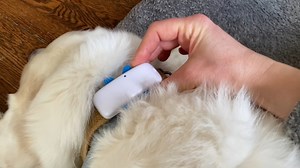 Consumer Reports profiles high tech GPS tools to track your pet's location