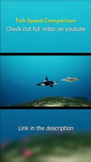 Fastest Fish in the Ocean – Speed Comparison! #fishspeed #speedcomparison