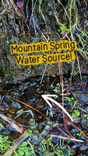 M A R K • B O N N A L I E on Instagram: "Mtn. Spring Water Source 101 💧 • #diy #farm #homestead #life #water"