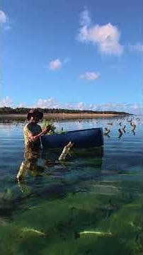 This Indonesian Paradise is Worth the Trouble to Get To #rote #indonesia #seaweedfarming