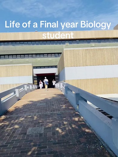 didintlemangwane on TikTok