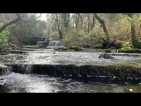 55 Minutes of Relaxing Waterfall Sounds in Ireland 🌊 Peaceful Nature Ambience (4K)
