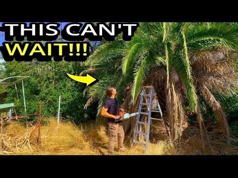 HER WORST NIGHTMARE JUST GOT REAL!