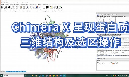 【科研软件学习】 ChimeraX 可视化分析PDB蛋白质 (已加解说)，根据氨基酸序号选特定残基及结构域以及相应的快速处理方法，仅供参考，共同学习。