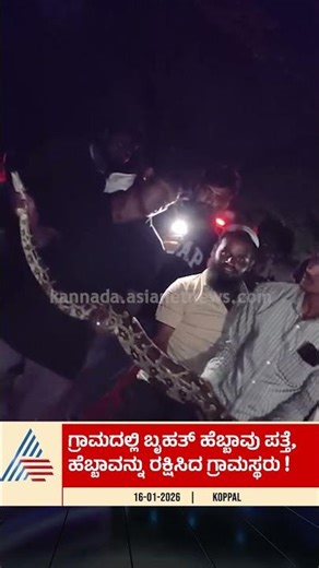 ಬೃಹತ್ ಗಾತ್ರದ‌ ಹೆಬ್ಬಾವು ಪತ್ತೆ, ಗ್ರಾಮಸ್ಥರಿಂದ ರಕ್ಷಣೆ | #koppal #python #pythonrescue #suvarnanews