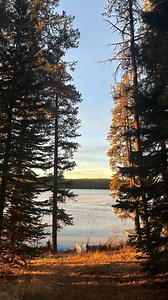 Spend the weekend with us at the lake house 🤍 It was such a magical weekend! No internet just family time! I could stay here forever🫶🏼 #holiday #familyholiday #canada #lakehouselife #frozenlake #cabin #familyweekend #smores #campfires | Mummawhocooks