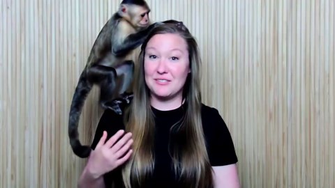 Google Adds Scenario Planner, Performance Max Updates, And Veo - PPC Pulse