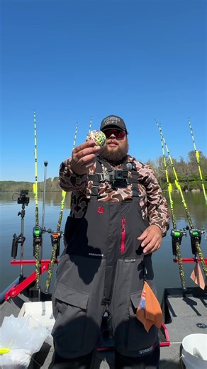 Catching Fish Using Rubber Bands Trick