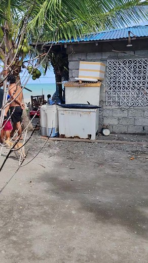 15K views · 228 reactions | Master Lei on Reels | Facebook