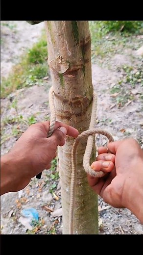 The Most Useful Knot You’ll Ever Learn! 🪢🔥 #knots