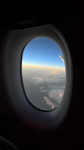 All you need is a break in the wild 🦁🇹🇿 [ Tanzania - wildlife - safari - animals - vacation - holiday ] | Africa bucket list