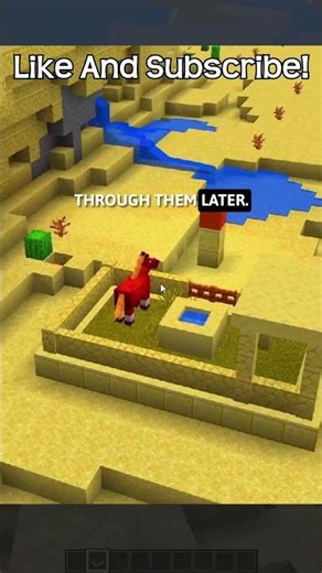 What Can You Do With Your Photos You Take In Minecraft?