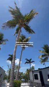 390 reactions · 13 shares | Stay Your Way in the Heart of the Florida...