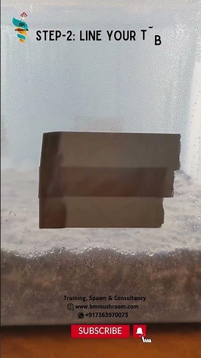 Growing Mushroom using Monotub | How to use monotub for growing mushrooms at home