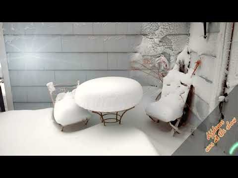 Blizzard Feb 2026 timelapse
