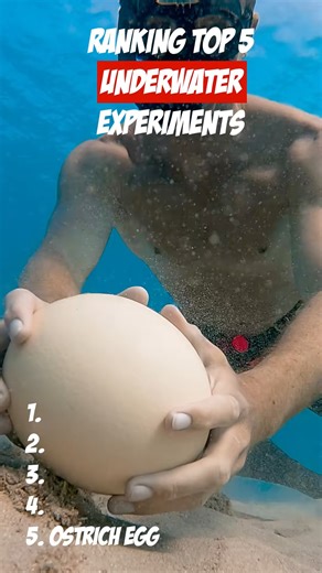 417K views · 2.8K reactions | Ranking best underwater experiment! | CEO Of The Ocean | Facebook