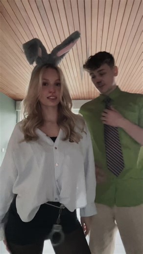 The Importance of Attention in Zootopia