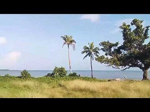 #TongaThe sound of the volcanic eruption/explosion of the Hunga Tonga-Hunga Ha'apai undersea volcano