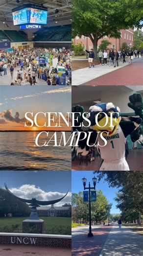 UNCW Office of Admissions on Instagram: "Day 12 🎬: Our campus in 12 moments. Thanks for joining us for 12 Days of Campus Life! 👏"