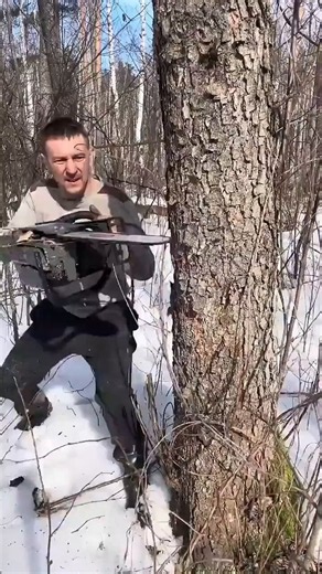 The only correct way to cut a tree and guide it's fall