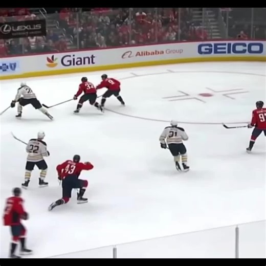 Washington Capitals Highlights: Tom Wilson's Impact