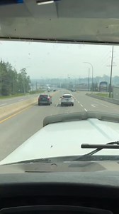 123K views · 4.4K reactions | Only in Canada  TikTok: rodneypierre54 #TorontoCulture - #toronto #cow #roadkill #dashcam | Toronto Culture | Facebook