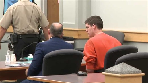 YouTube creator who struck Bartlett officer with car pleads guilty, receives sentence