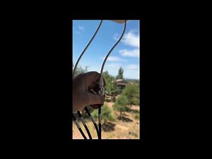 Waveform Antenna install for t_mobile home internet