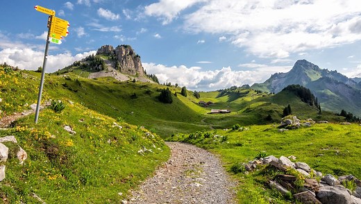 Schynige Platte to Faulhorn to First Hike: Step-By-Step Trail Guide