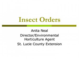 Insect Orders - SlideServe