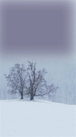 Angels and Omens is the newest Treasure Trail book--have you read it yet? #ghost #magic #spooky #psychics #paranormal #supernatural #urbanfantasy #paranormalromance #mmparanormalromance #mmromancebooks #capemay