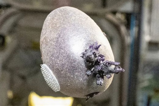 Tentacled mystery object found aboard ISS spawns terror: 'Kill it with fire'