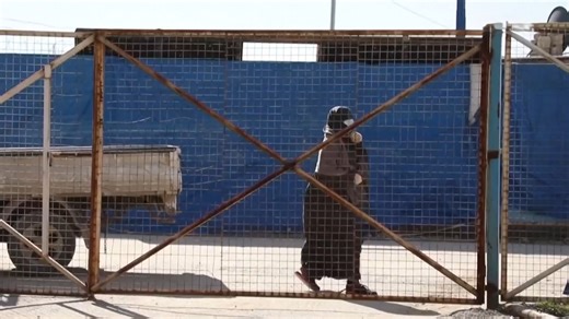 A person attempting to travel from Syria to Australia as part of an ISIS bride cohort will be blocked from entering the country. | Sky News Australia