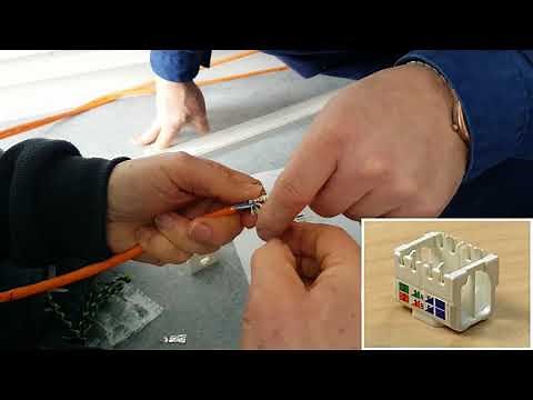 Tuto vidéo : Câblage d'une prise RJ45 à la norme T568B