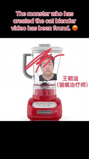 寻找猫瘾治疗师：正义即将到来