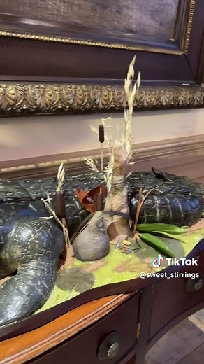 Alligator Cake Creations: Unique Bakery Insights