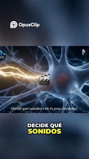 Tu Cerebro Toma Decisiones: ¡Sorprendente Secreto Revelado!