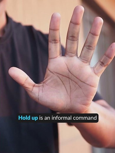 Idiom of the Day: Hold up 🖐️