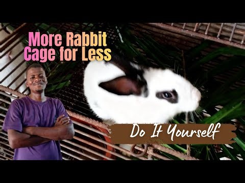 How to Build a Rabbit Cage Yourself