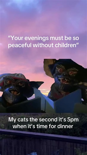 My Tortie Kitten Screams at 5pm for Dinner: A Relatable Moment