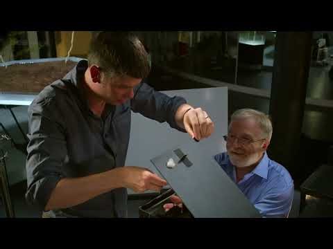 Planet(9:58 – 12:06)Ant Life Inside @ The Colony