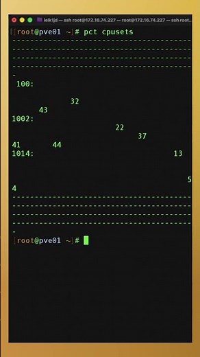 This Command Reveals Hidden CPU Info!