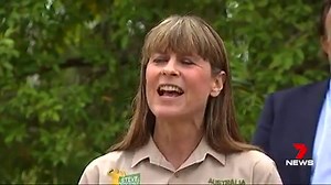 Australia Zoo has partnered with the Queensland Government to announce an $8 million ‘Camp Croc Hunter’ experience that is expected to bring an additional 39,000 visitors to the Sunshine Coast each year. The accommodation will feature glamping-style tents, eco cabins, a pool area, a cafe and a mountain bike pump track. The facility will open in 2020, in time for the zoo’s 50th birthday. “This is something Steve and I had talked about when we developed what was to be our last 10 year business pla